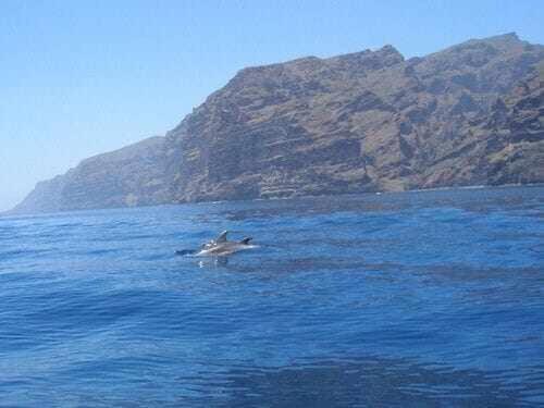 El Paraiso En Los Gigantes Santiago Del Teide Bagian luar foto