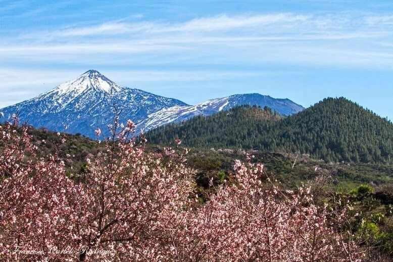 El Paraiso En Los Gigantes Santiago Del Teide Bagian luar foto